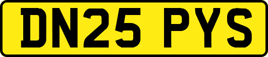 DN25PYS