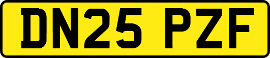 DN25PZF