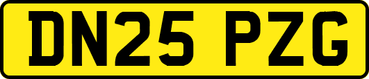 DN25PZG