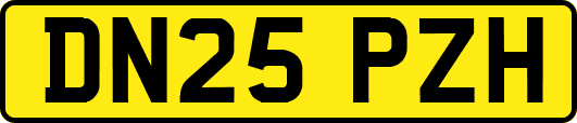 DN25PZH