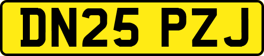 DN25PZJ