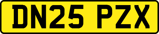 DN25PZX