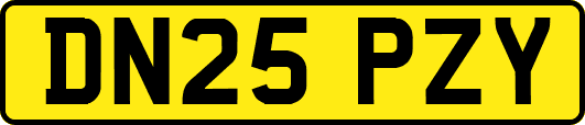 DN25PZY