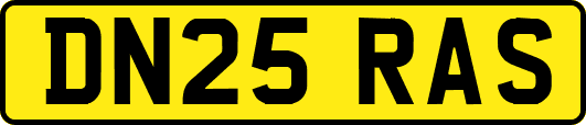 DN25RAS