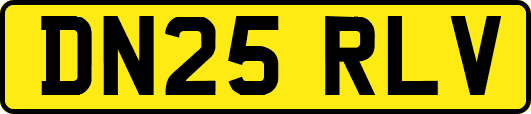 DN25RLV