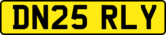 DN25RLY