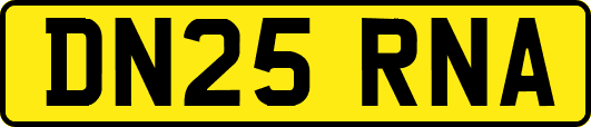 DN25RNA