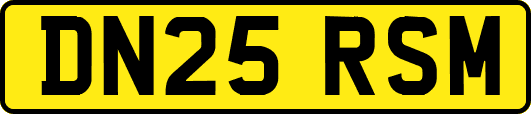 DN25RSM