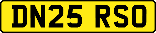 DN25RSO