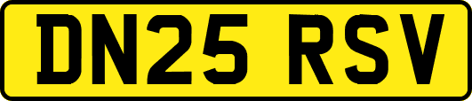 DN25RSV