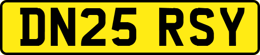 DN25RSY