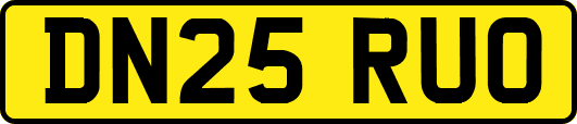 DN25RUO