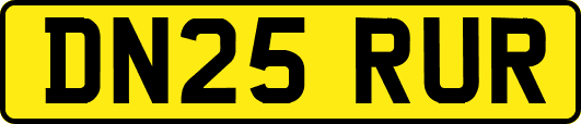 DN25RUR