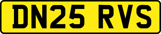 DN25RVS