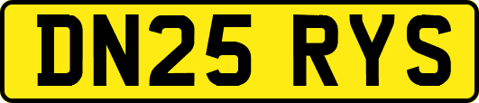 DN25RYS