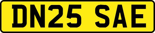 DN25SAE