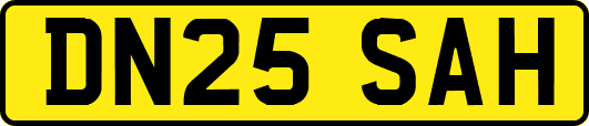 DN25SAH