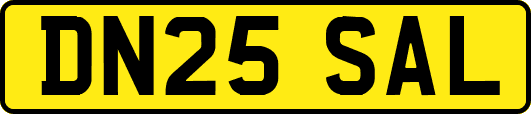 DN25SAL