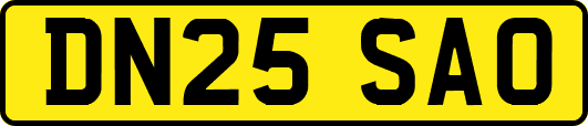 DN25SAO