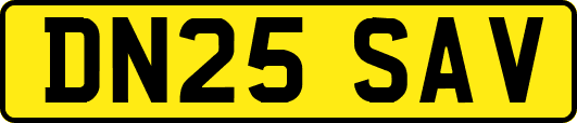 DN25SAV