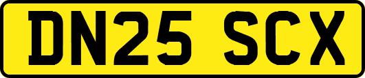 DN25SCX