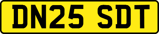 DN25SDT