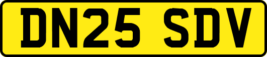 DN25SDV
