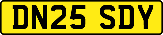 DN25SDY
