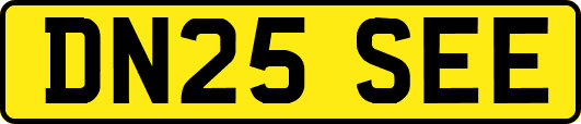 DN25SEE