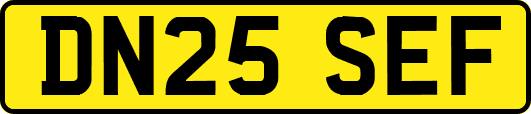 DN25SEF