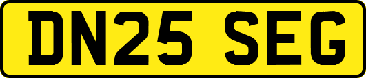 DN25SEG