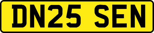 DN25SEN