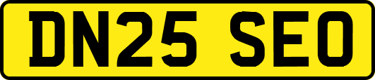 DN25SEO