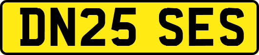 DN25SES