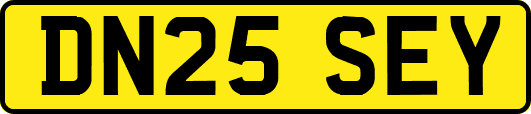 DN25SEY