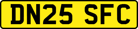 DN25SFC