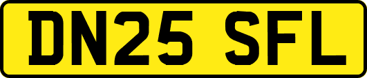 DN25SFL