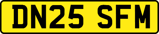 DN25SFM