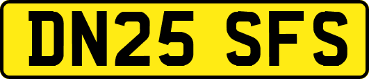 DN25SFS