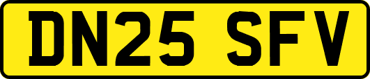 DN25SFV
