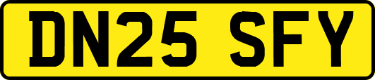 DN25SFY