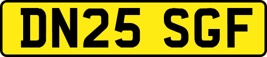 DN25SGF