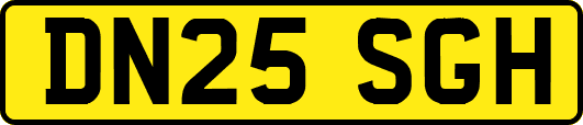 DN25SGH
