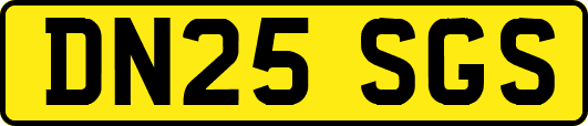 DN25SGS