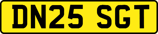 DN25SGT