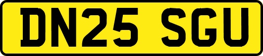 DN25SGU
