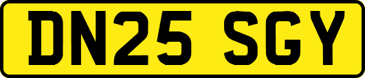 DN25SGY