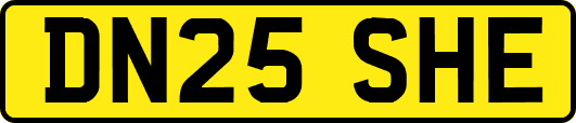 DN25SHE