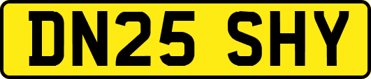 DN25SHY