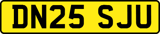 DN25SJU